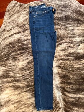 J. Crew Indigo Skinny Jeans